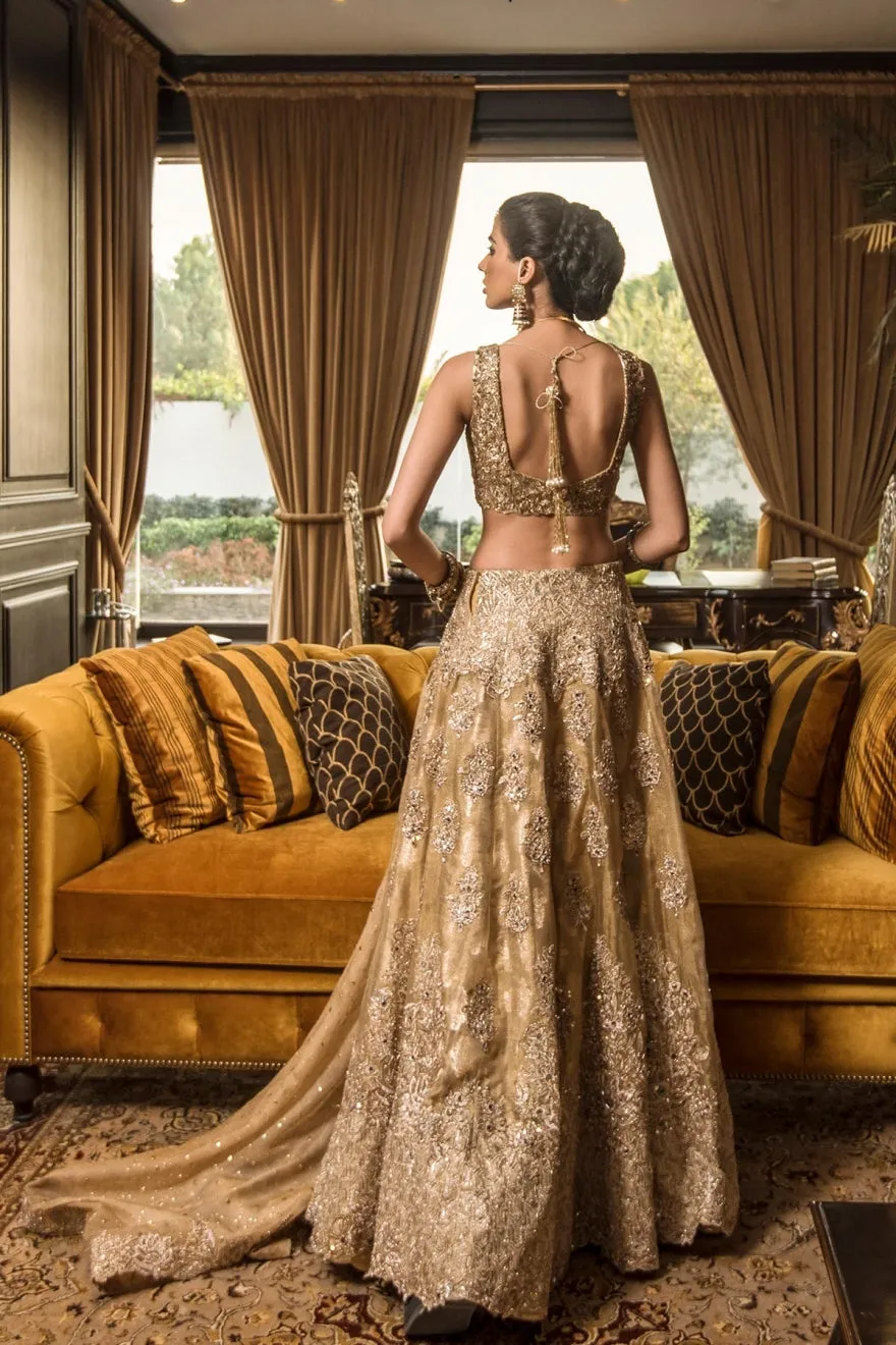 Designer Latest Lehnga Choli for Wedding #C2094