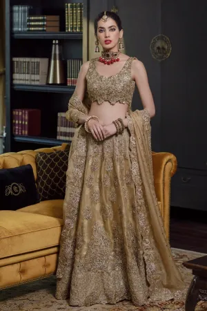 Designer Latest Lehnga Choli for Wedding #C2094