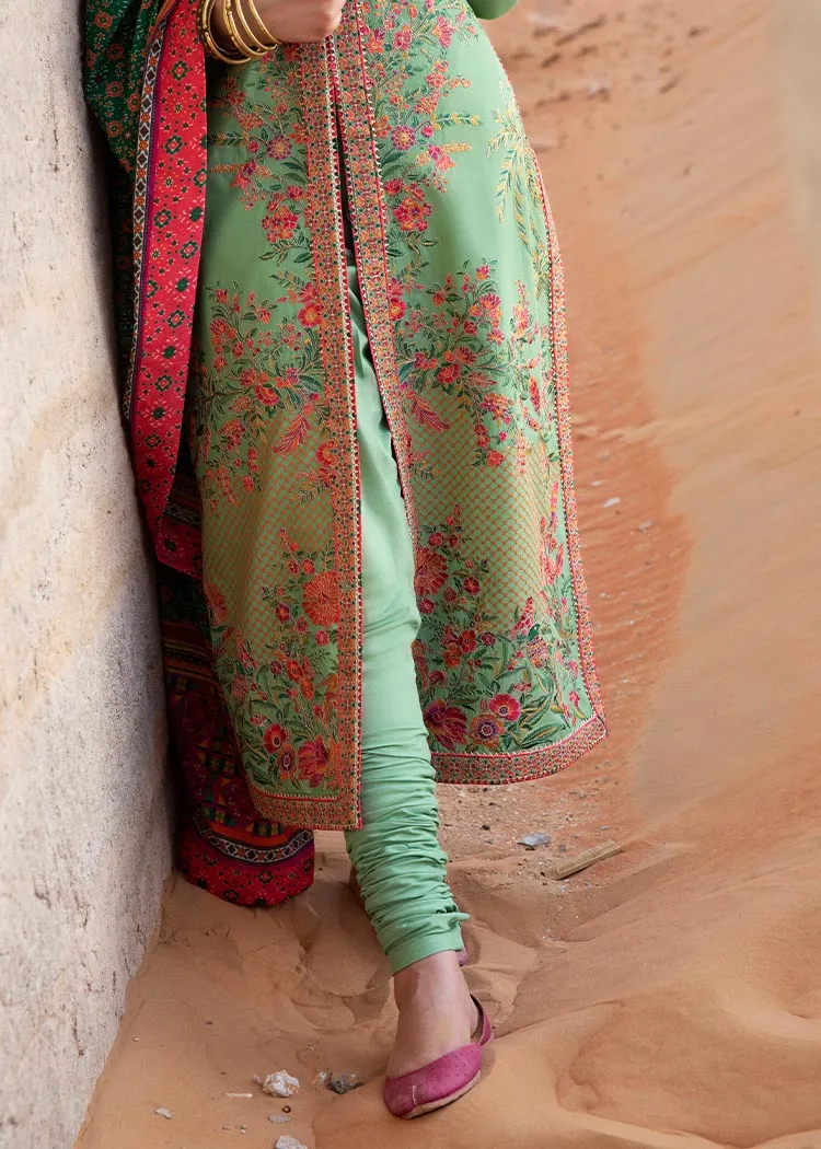 Embellished Long Dress Salwar Kameez Pakistani Party Dress