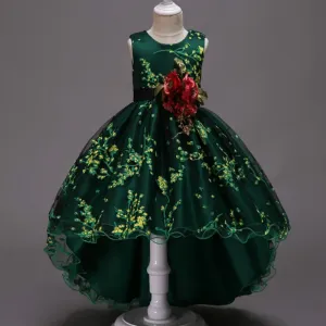 Graceful & Elegant Girls Princess Ball Gown - Sizes 3T-8