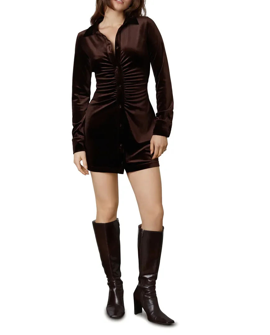 Long Sleeve Velvet cinched Mini Dress