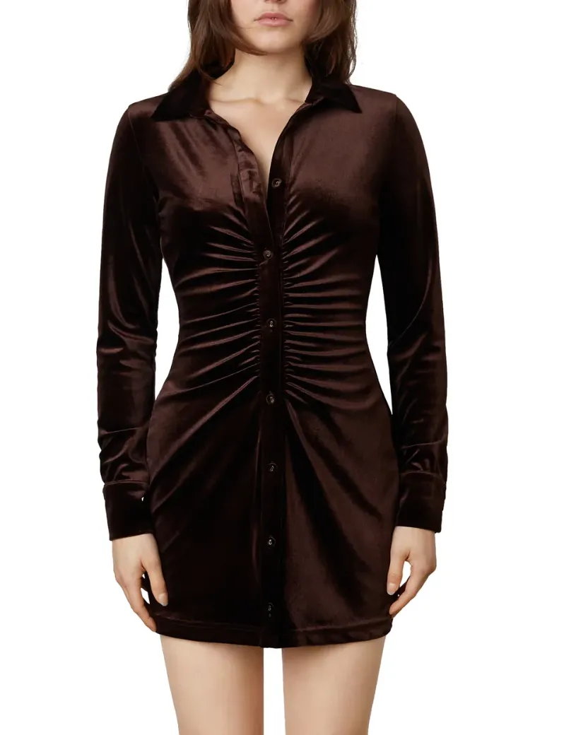 Long Sleeve Velvet cinched Mini Dress