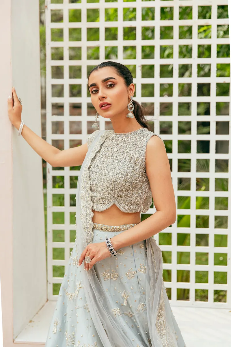 Pakistani Bridal Net Choli with Raw Silk Lehenga Dress