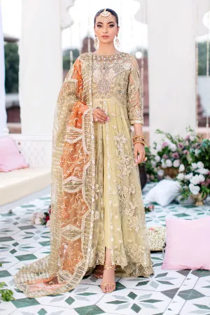 Pakistani Wedding Dress in Royal Gown and Trouser Style