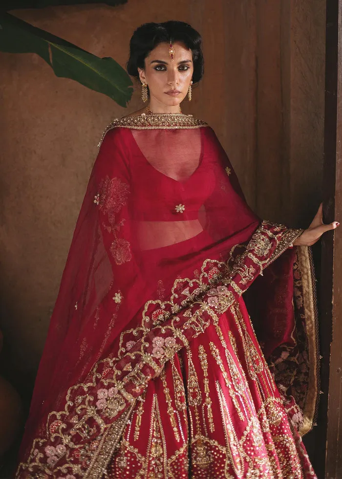 Red Maroon Lehenga Choli Pakistani Wedding Dresses
