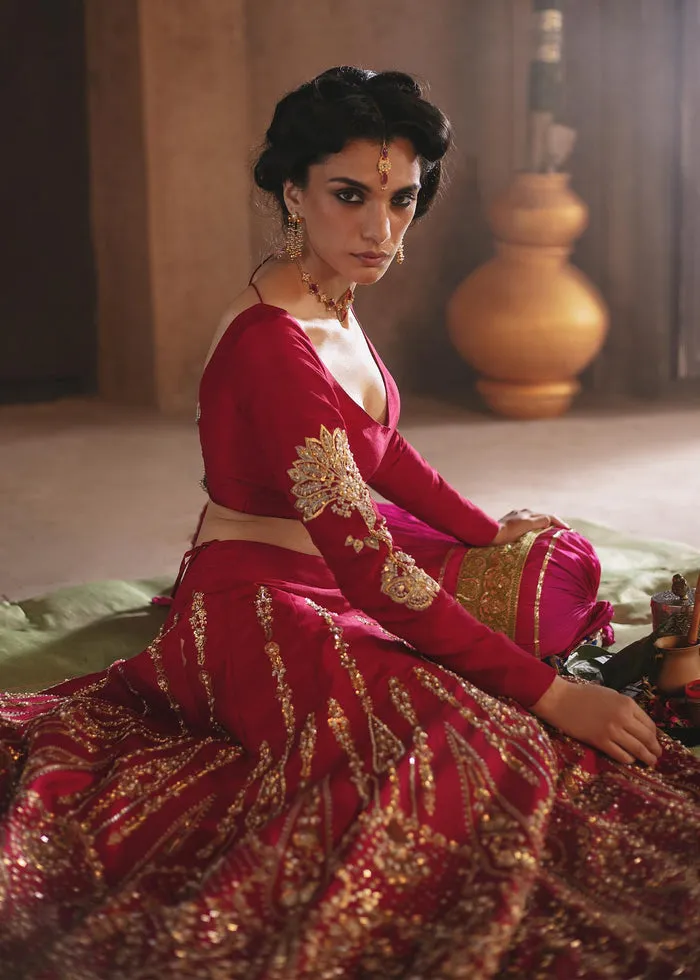 Red Maroon Lehenga Choli Pakistani Wedding Dresses
