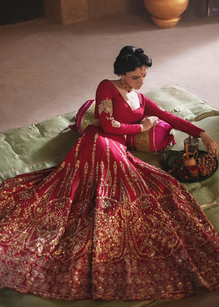 Red Maroon Lehenga Choli Pakistani Wedding Dresses