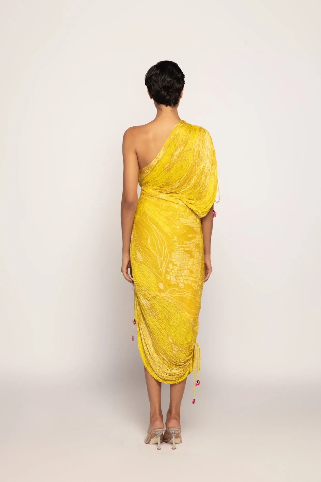 Sari Dress