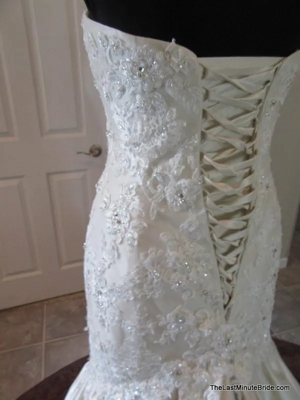 Sophia Tolli Y21378 Forsythia