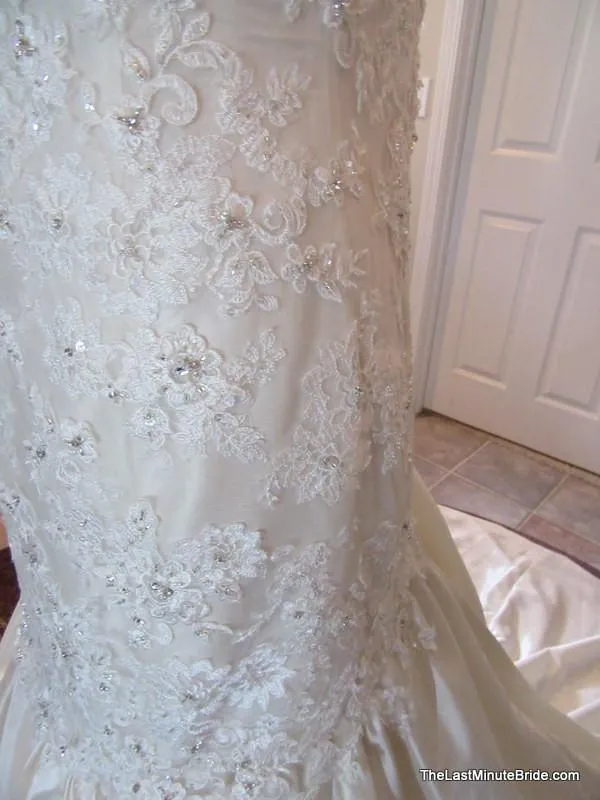 Sophia Tolli Y21378 Forsythia