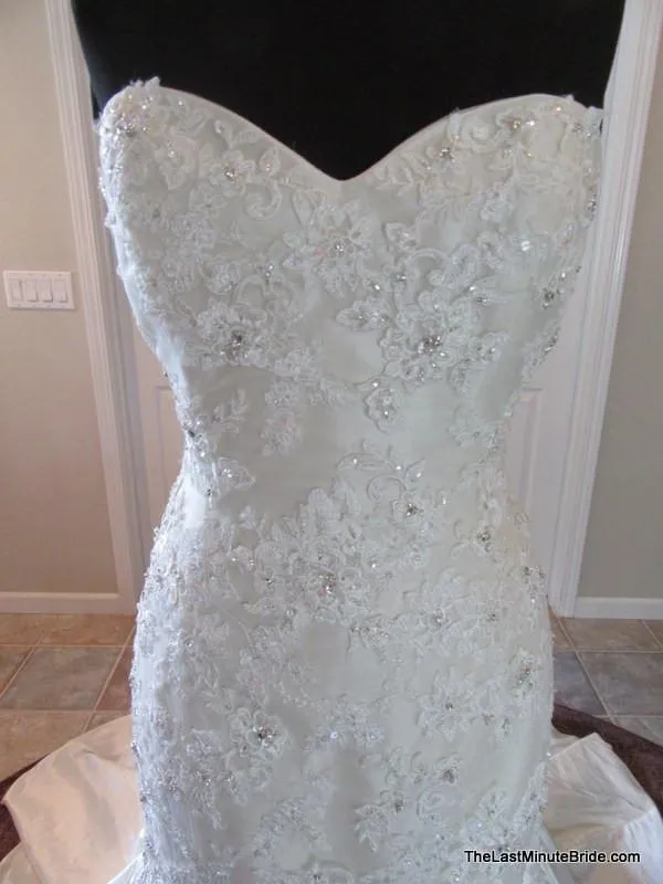 Sophia Tolli Y21378 Forsythia