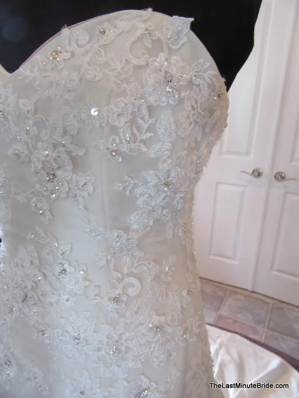 Sophia Tolli Y21378 Forsythia