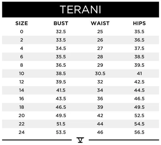Terani Couture 2011M2164 Dress